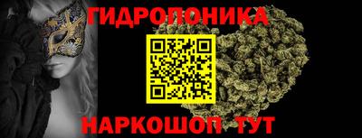 спайс Малгобек
