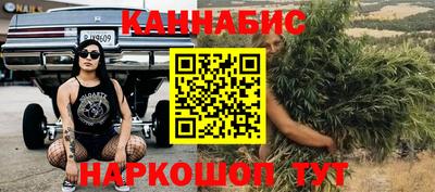 спайс Малгобек