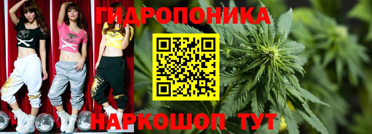 Бошки Шишки семена  Каннабис индика  Вход с VPN  Горячий Ключ 